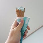 <b>민트</b> 좋아하는 애들 이거 먹어