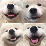 [댓글부탁해] <b>질투</b>하는거 좋다는 어느정도까지?