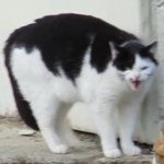 [댓글부탁해] 고3들 <b>단축</b>함?