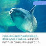 [댓글부탁해] 계속 보다보니까