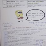 스펀지 <b>기엽</b>더