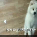 역대급<b>보신탕</b>