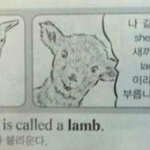 ❤️삼색<b>볼펜</b> 추천좀 ㅠㅠ❤️