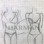 골반 가슴 추반 해바