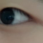[댓글부탁해] 너네가 내 눈이라면 <b>쌍수</b>하겠지..?