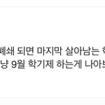 이거 댓글 ㅈㄴ 웃기네