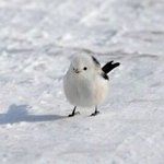 인생에서 한번쯤 써먹을 <b>법률</b> 용어