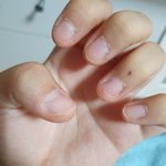 애들아 나 <b>손톱</b> 성장한 거 볼래??