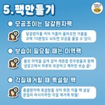 [드루와] 코<b>필러</b> 입술<b>필러</b> 4일차