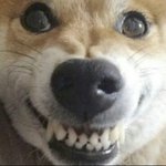 <b>톡</b>선 <b>판</b> 돈나간다는 글 ㄹㅇ이냐