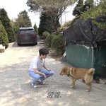 [<b>SF9</b>] 영인다가 제일 재밌을 줄 알았는데