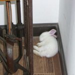 <b>청순</b>해보이는법 ㄹㅇ