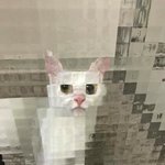 내 mbti랑 같은 <b>연옌</b> 찾아봤는데