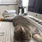 <b>네모</b>에 작을수록 더 좋아!