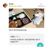 [댓글부탁해] 갑자기 <b>초밥</b> 땡기네