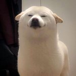 인강 이것 중 골라줘