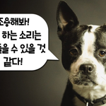 한끼줍쇼 방탄나온 날 우리<b>집</b> <b>옴</b>