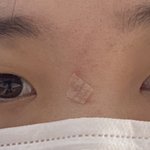 <b>쌍수</b>