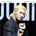 얘들아 <b>삽살개</b> 얼굴 검색해서 찾아봣어