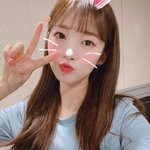 [댓글부탁해] 식물나라 <b>선쿠션</b> ㄱㅊ??