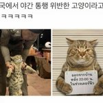 [EXO] 여긴 <b>365일</b> 아무 때나 들어 와도