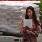 [꼭봐주세요] 김규리X<b>최희서</b>X박지후X박지연 레드카펫 존예