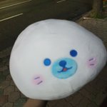 [추반] 야 지금 김치만두 먹<b>말</b> 추반 ㅠ