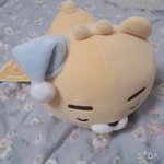얘드라 내 생일선물 개귀<b>엽지</b>