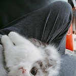 나 진짜 <b>순수</b>한데