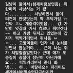 고양이 두 마리가 쥐 <b>사냥</b>하는 거 목격한 썰 푼다