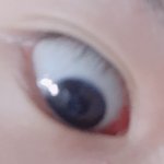 얘들아 나 <b>꼬막</b><b>눈</b>이야???