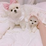 그때 우린 <b>순수</b>한 남녀였어