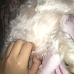 후후 우리집 깜찌기