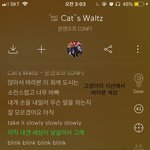 [드루와] 고양이 시선으로 노래 쓴 아이돌 알아?