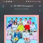 [워너원] 오늘도 워너원존버