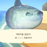 [드루와] 나 오늘 생일이당