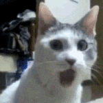 [댓글부탁해] 개똥같은 법 <b>발의</b>할 시간에 민식이 법을