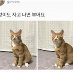 [댓글부탁해] 헐 ㅅㅂ 야짤갖고 있으면 소지죄 <b>처벌</b>이래