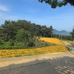 나 지금 <b>남해</b>인데