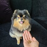 [드루와] 나보다 허리 가늘어보이는 사람 없을걸