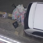 [<b>동물</b>학대] 펫시터가 펫을 길에다 버렸습니다..