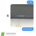 [NCT] ㅅㄷ) 요드림봐줄사람?
