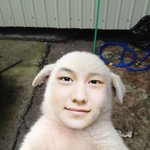 [드루와] 고3들 문제집 추천해주면 모고 등급<b>오름</b>