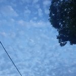 [댓글부탁해] 셀프로 <b>애쉬</b>블루 어렵겠지