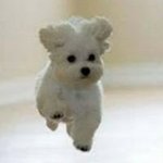 [댓글부탁해] 그냥 <b>중상</b> 중하 일반고 수시 뽑아주나 ㅠㅠ