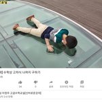 ㄹㅇ 이런애는 어떻게 키워야하냐 ㅋㅋㅋㅋㅋㅋ