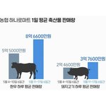 [드루와] <b>팔뚝</b>때문에 죽고싶다진짜