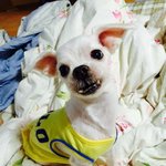 정국 구름이짤 <b>올림</b>