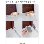 엄한 집에서 찐따처럼 자란 썰