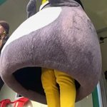 [댓글부탁해] 펭수 <b>동심</b>파괴짤